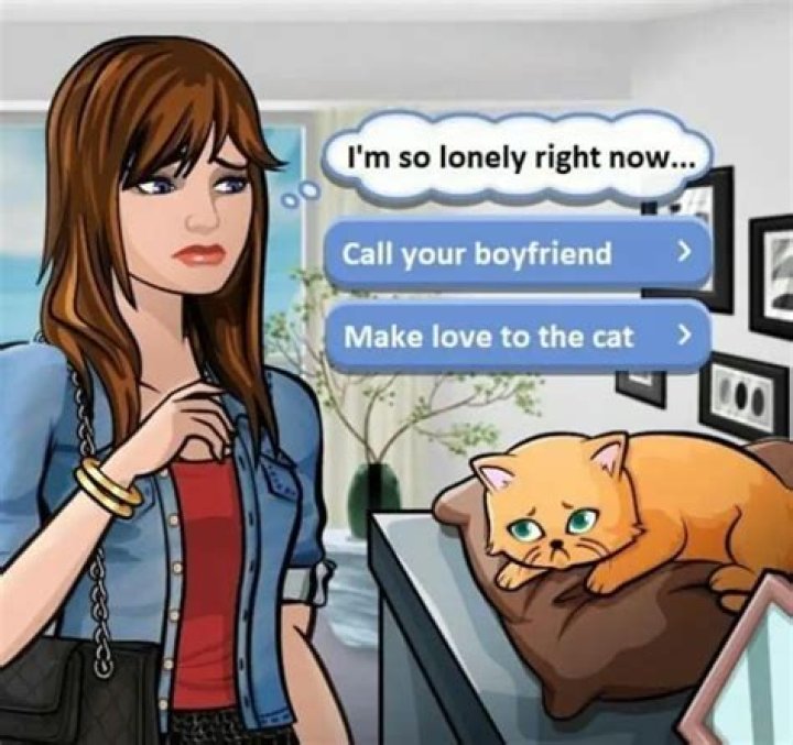 Shane Dawson Cat Controversy: A Comprehensive Analysis and What It Means for Fans