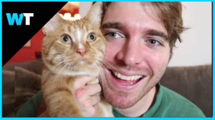 Shane Dawson Cat Situation: A Comprehensive Look at the Viral Controversy