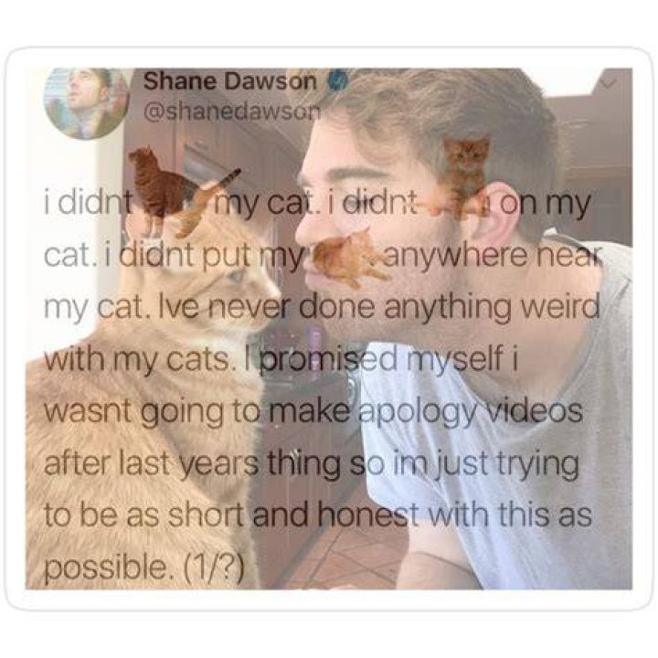 Shane Dawson Cat Story: A Heartwarming Tale of Love, Loss, and Legacy