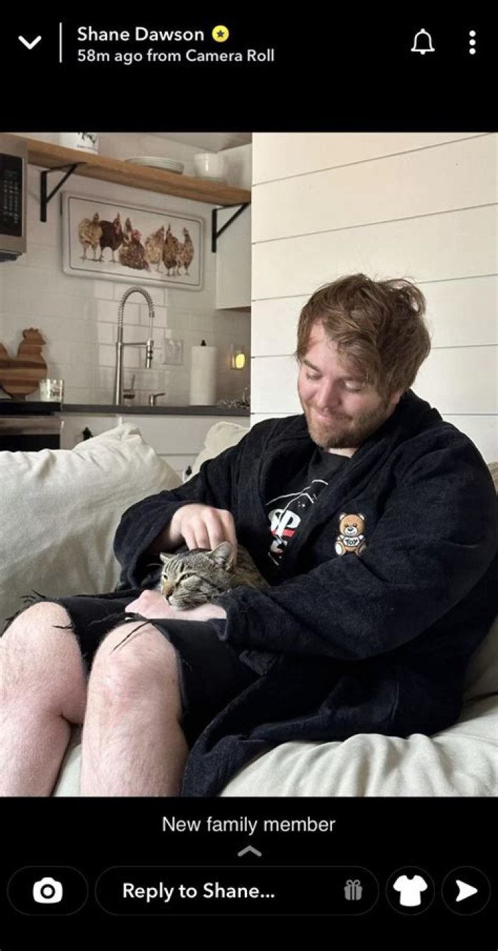 Shane Dawson Cat: The Ultimate Guide to the Viral Sensation