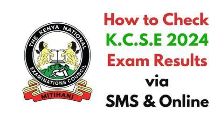 SPM 2024 Results: How to Check & Important Details You Need to Know