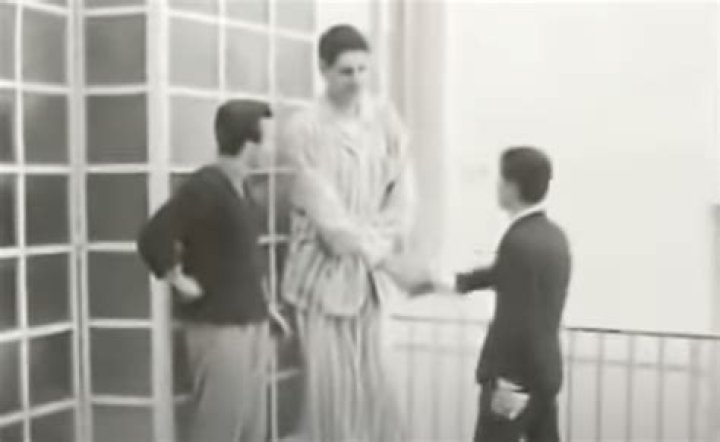 Suleiman Ali Nashnush Height: The Untold Story Behind the Man Who Stands Tall