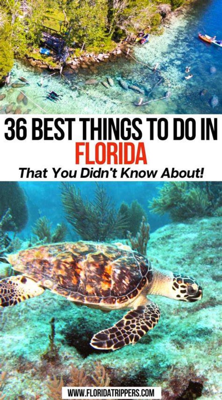 Tallest Latina in Florida: What You Need to Know!