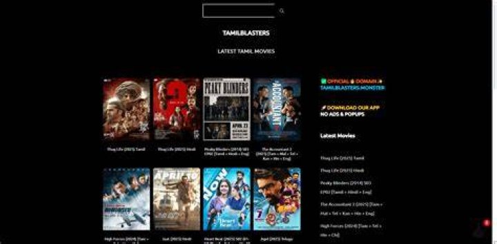 TamilBlasters 2025: New Domain & How to Access Safely | Guide