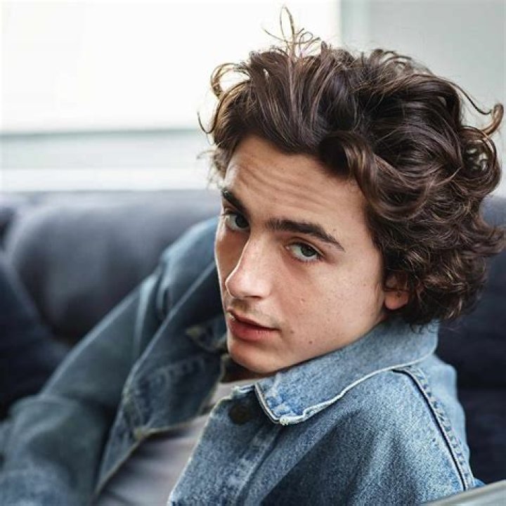 Timothy Chalamet: Career, Movies, and More!