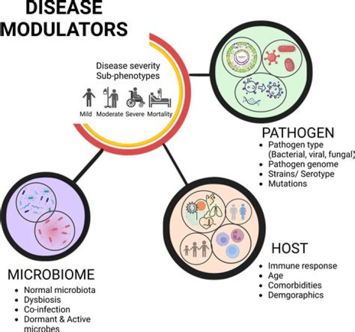 Understanding & Exploring [Viral Infections & More] - Discover Now!