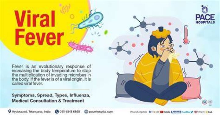 Understanding Viral Infections: Causes, Prevention & More
