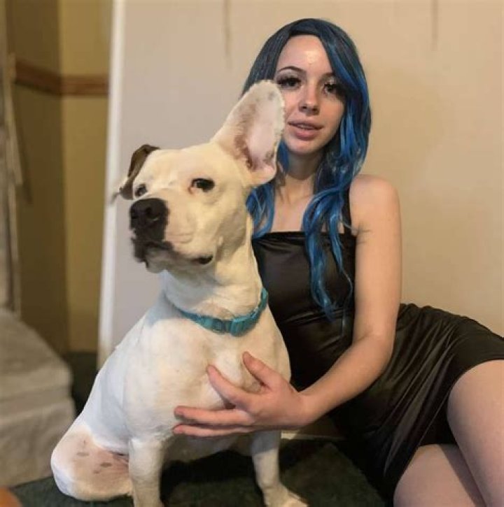 Unleashing the Power of Dogxxx: A Comprehensive Guide for Enthusiasts