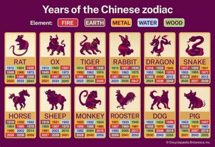 Unveiling the Mysteries of the 1955 Chinese Zodiac: Your Ultimate Guide