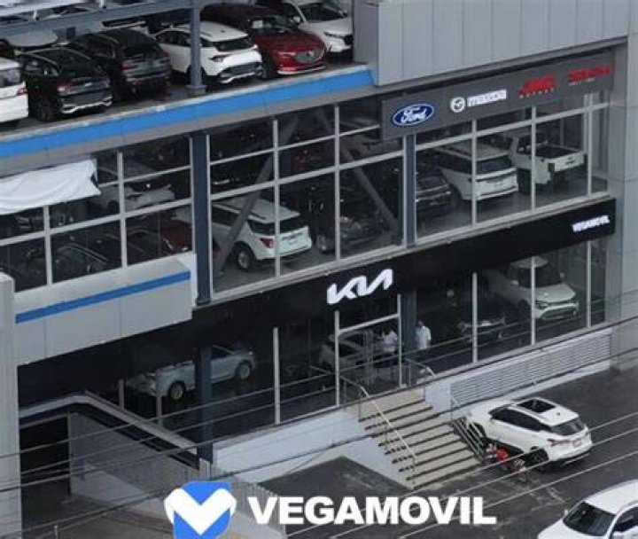 Vegamovil: Dominican Republic's Top Multibrand Automotive Group & More