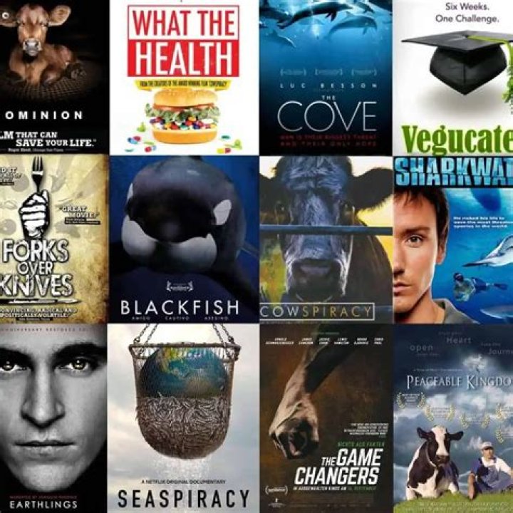 Vegan Movies & Documentaries: Watch Now & Discover!