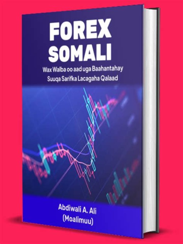 Wasmo Somali Channel Admin: The Untold Story of a Digital Sensation