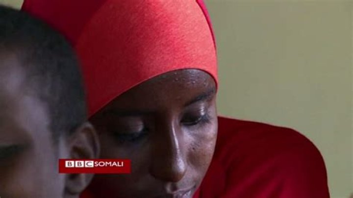 Wasmo Somali Channel Owner: The Untold Story of a Digital Sensation