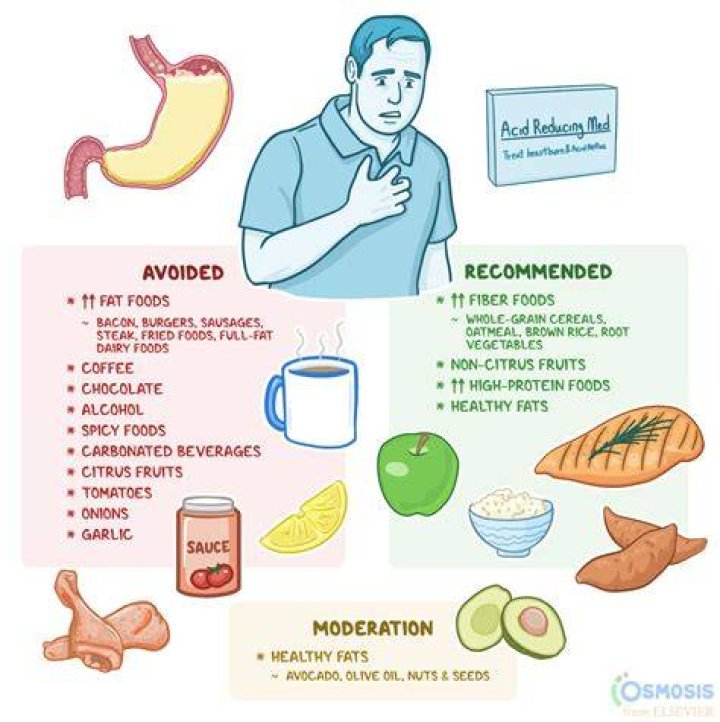 What's the Deal with Vegamovues? Your Ultimate Guide