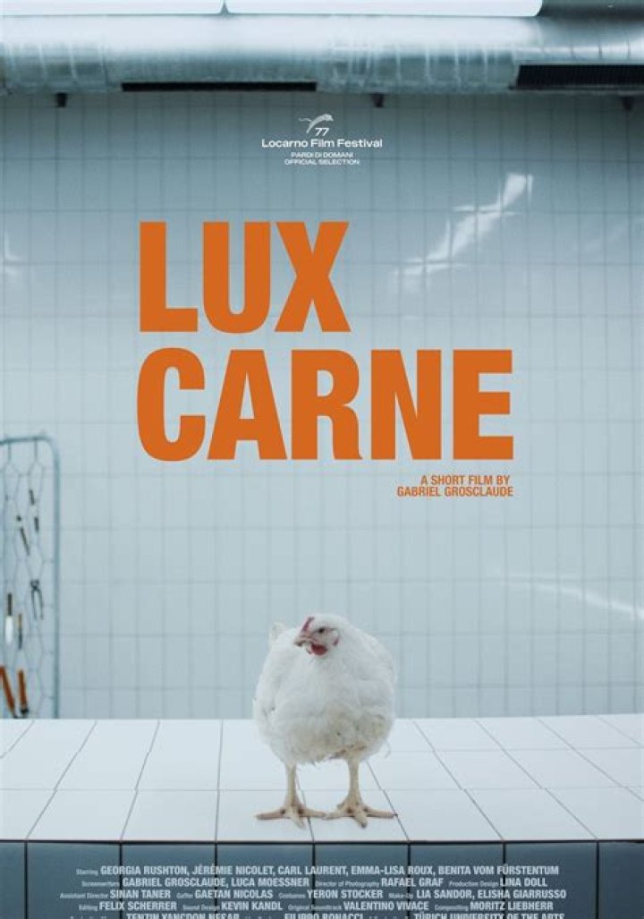 Where to Watch LUX & More: Streaming & Showtimes