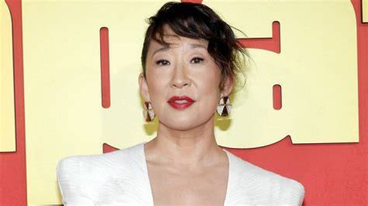 Who Is Sandra Oh's Life Partner? Discovering Sandra Oh's Romantic Journey