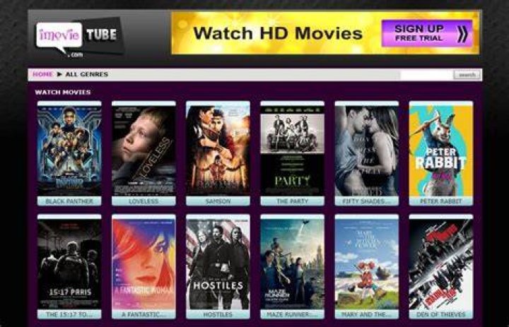 Why Filmy MP4 Movie Download Has Become the Go-To for Movie Enthusiasts