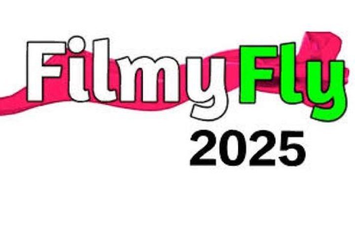 Why FilmyFly XYZ 2025 Is the Ultimate Hub for Movie Enthusiasts
