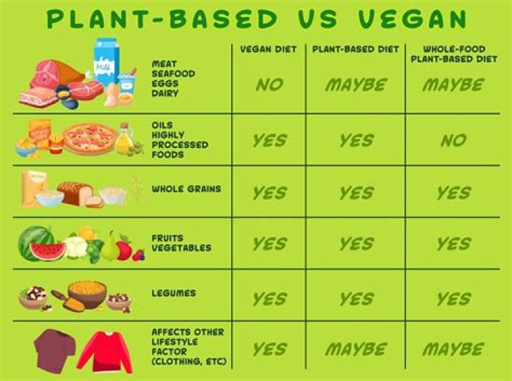 Why Vegamivies Are Changing the Game in the World of Veganism