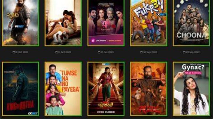 Why Vegamovies Bollywood is Your Ultimate Destination for Movie Enthusiasts
