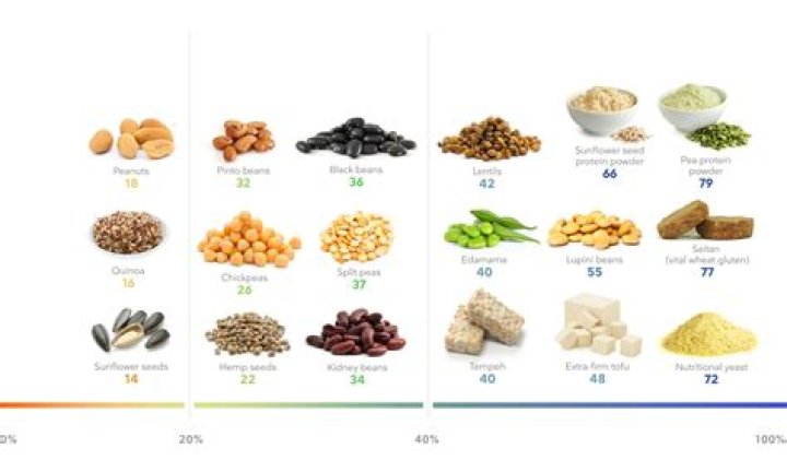 Why Vegamovis is Revolutionizing the World of Plant-Based Nutrition
