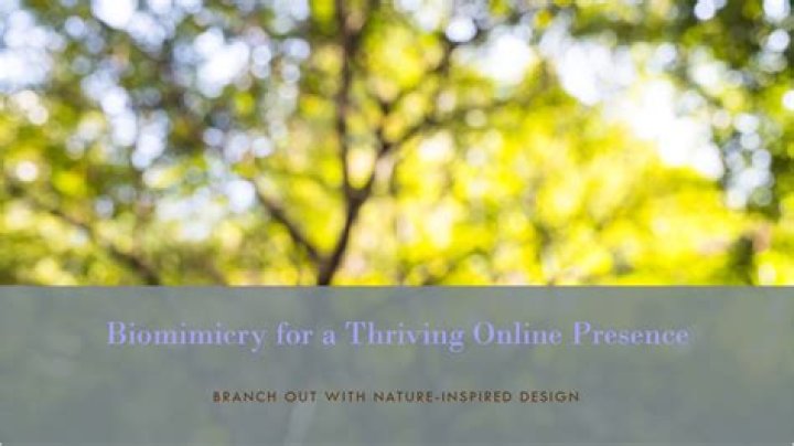 www.aaagmal: The Ultimate Guide to Discovering a Thriving Online Presence