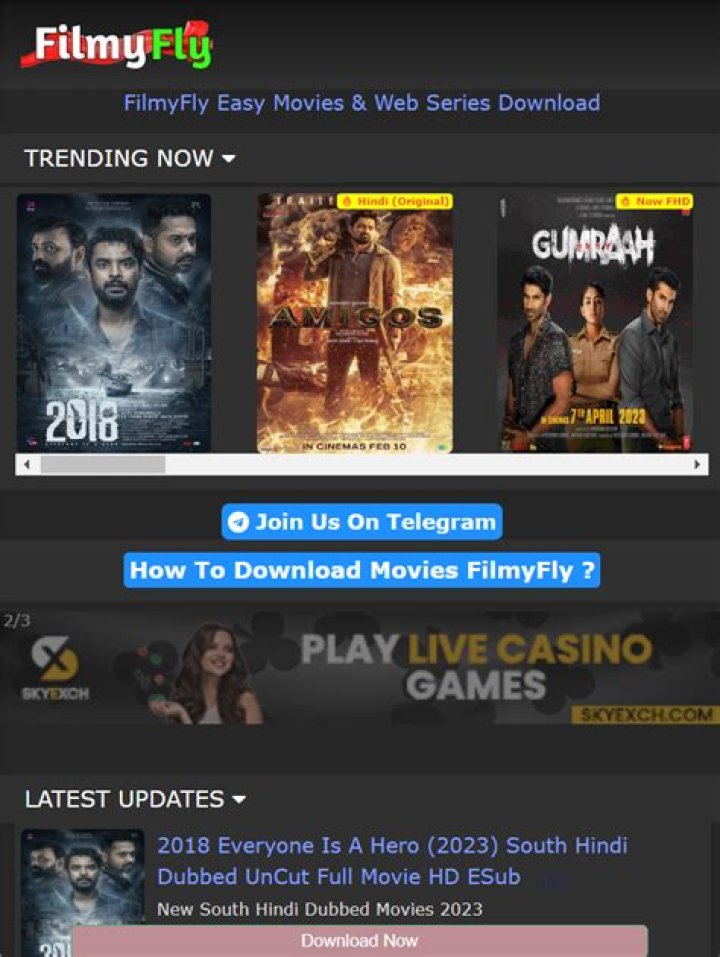 www.filmyfly.com 2024: Your Ultimate Guide to Streaming Movies Online