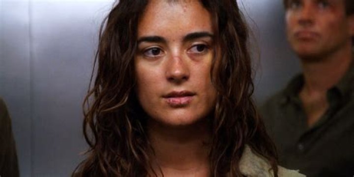 Ziva David Character: A Comprehensive Exploration